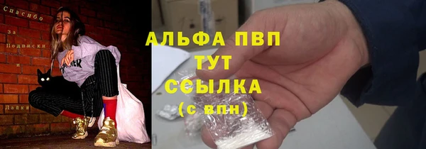 соль ск Дмитриев