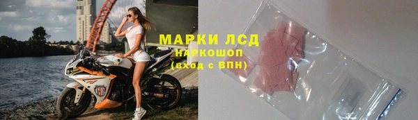 амф Гусь-Хрустальный