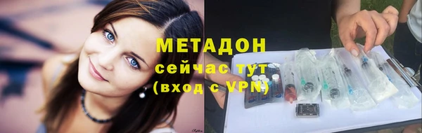 соль ск Дмитриев