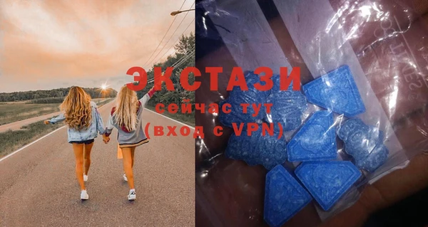 соль ск Дмитриев
