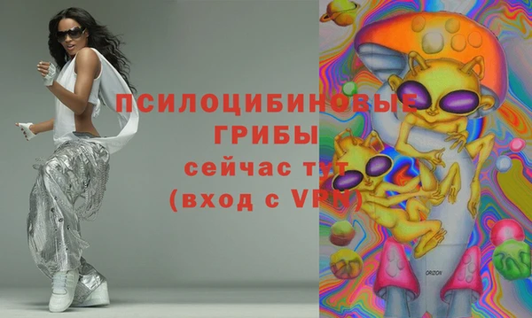 соль ск Дмитриев